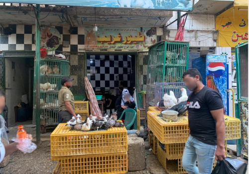 Screenshot 2025-11-21 at 15.23.43