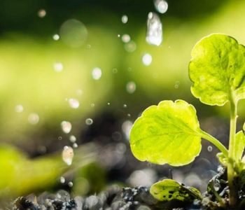 WhatsApp Image 2025-10-07 at 18.01.19